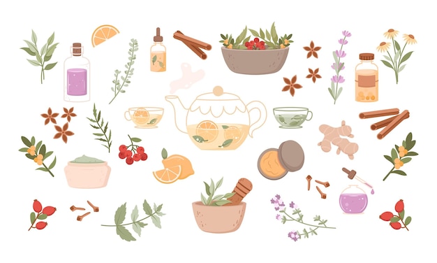 Vettore set di illustrazioni per la medicina erboristica icona piatta con cartoon spa floreale per la progettazione medica