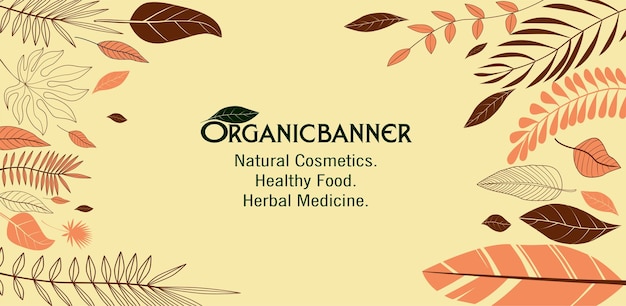 Erboristeria con illustrazioni organiche cibo sano etichetta cosmetica naturale banner a base di erbe