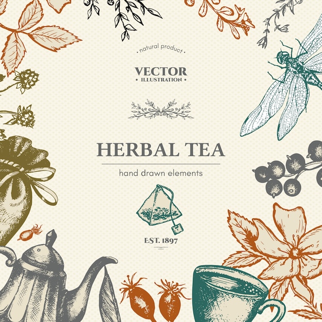 Herbal tea vector card design hand drawn vector illustration