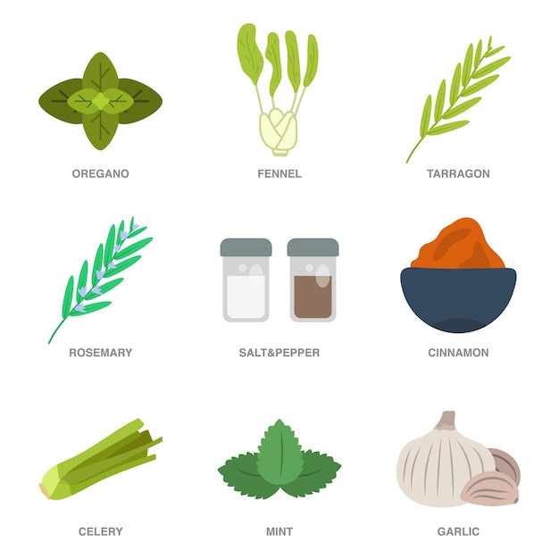 Herbs flat illustrations vector set