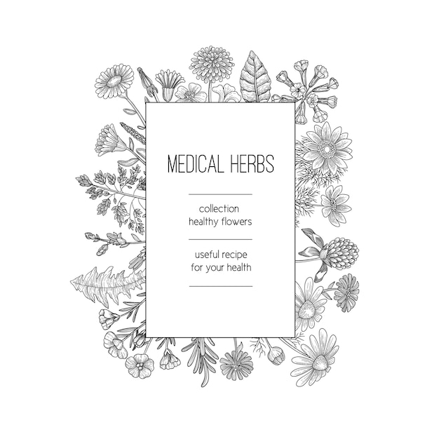 Herbs frame. herbal background design for spa medical concept nature herbs plants hand drawn template. illustration herb medical, natural organic herbal