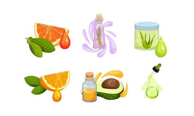 Vector herbs and fruit for essential oil preparation vector set