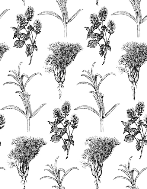 Vector herbs seamless pattern spice wallpaper in vector