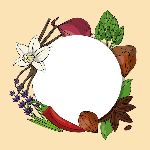 Herbs and spices background