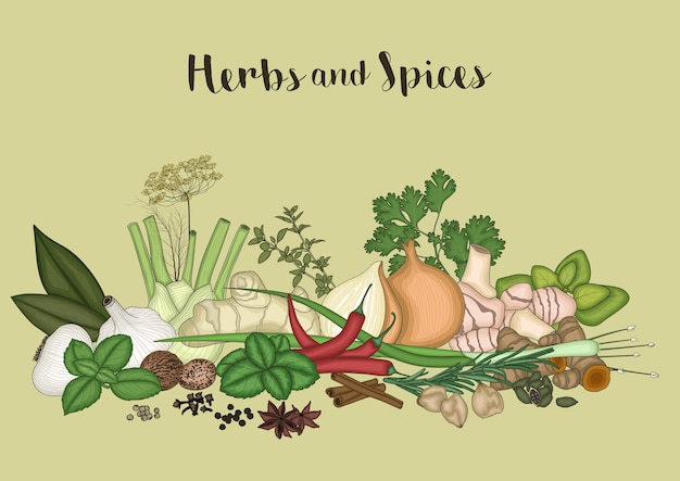 Herbs and spices background