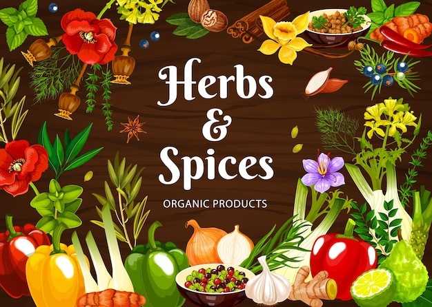 Herbs and spices cartoon vector poster seasonings