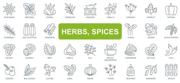 Herbs spices concept simple line icons set Bundle of star anise oregano vanilla paprika