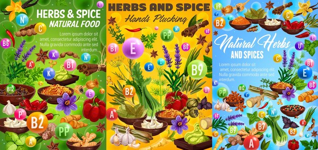 Herbs and spices food seasonings