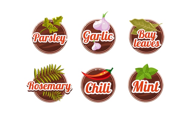 herbs and spices kitchen badges set parsley garlic bay leaves rosemary chilli mint labels vector illustration isolated on a white background