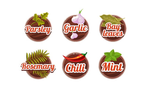 Vector herbs and spices kitchen badges set parsley garlic bay leaves rosemary chilli mint labels vector illustration isolated on a white background