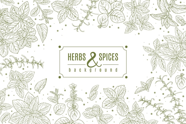 Vector herbs and spices poster