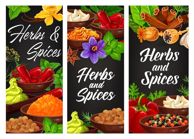 Vector herbs spices seasonings and condiments banners