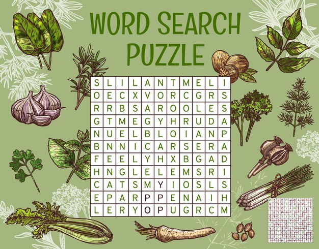 Vector herbs spices and seasonings word search puzzle