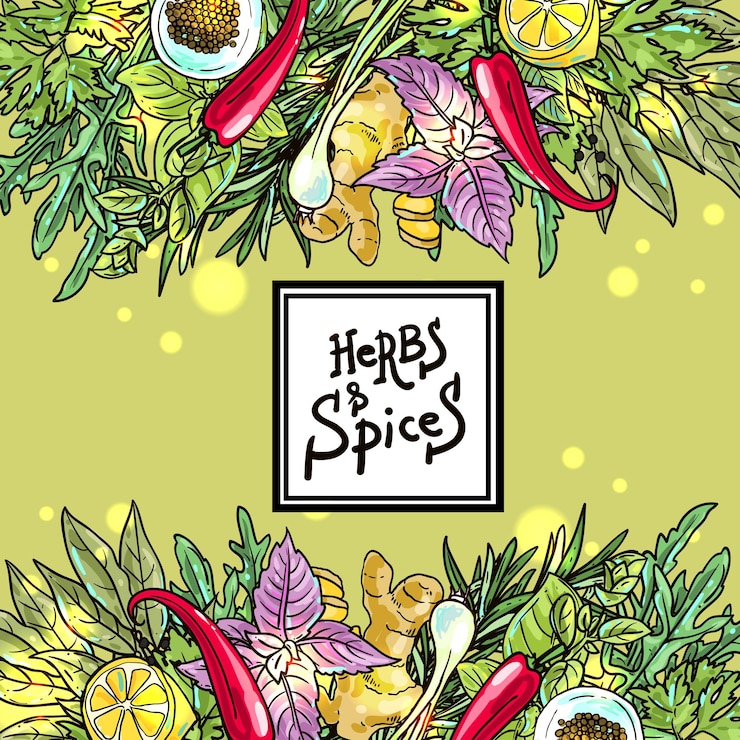 Vector herbs and spices