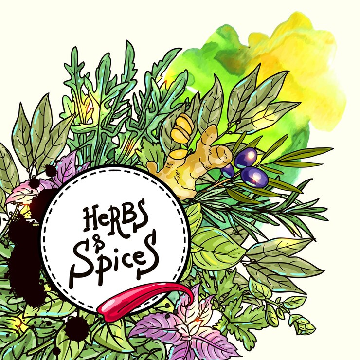 Vector herbs and spices