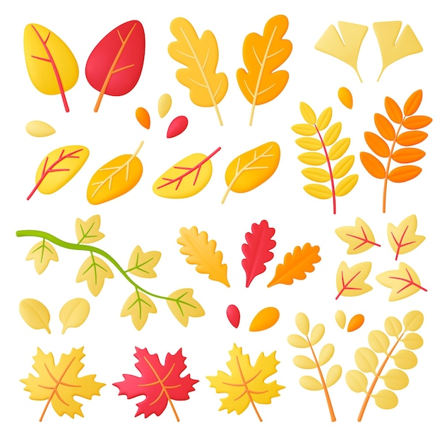 Vector herfst 3d bladeren bos gele blad weergaven seizoenen herfst planten geïsoleerd decoratieve natuur grafisch esdoorn en eik bladeren samengestelde kleur vector set