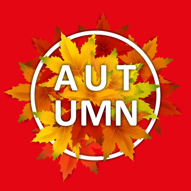 Vector herfst achtergrond sjabloon met vallende bos bladeren winkelen verkoop of seizoensposter