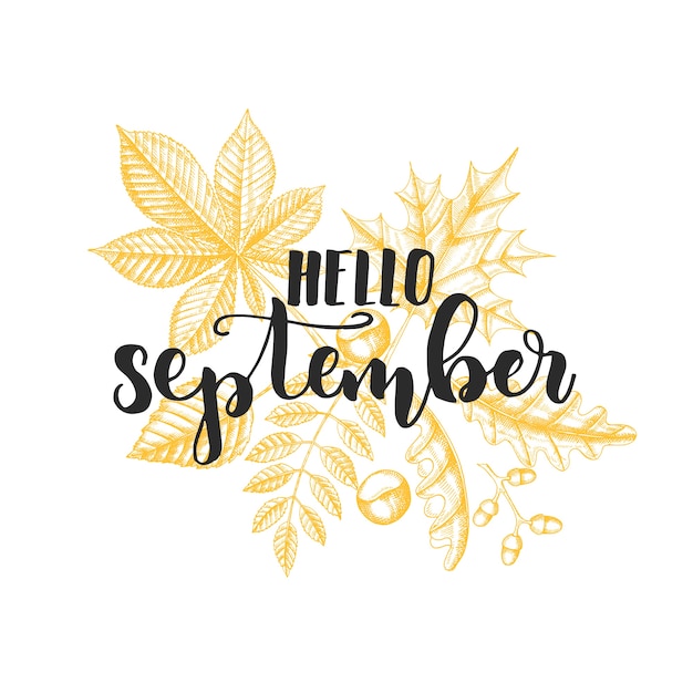 Herfst belettering kalligrafie zin - hallo september