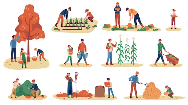 Herfst bijeenkomst. mannen, vrouwen en kinderen verzamelen fruit, groenten en bessen. hooi stapelen, werkende oogstseizoen vector set. illustratie verzamelen oogst herfst, landbouw oogsten