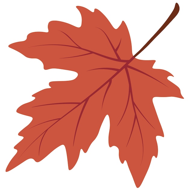 Vector herfst blad vectorafbeelding