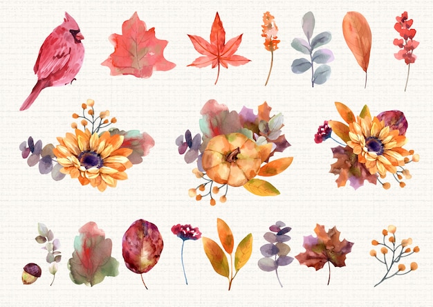 Vector herfst bloemen elementen aquarel set