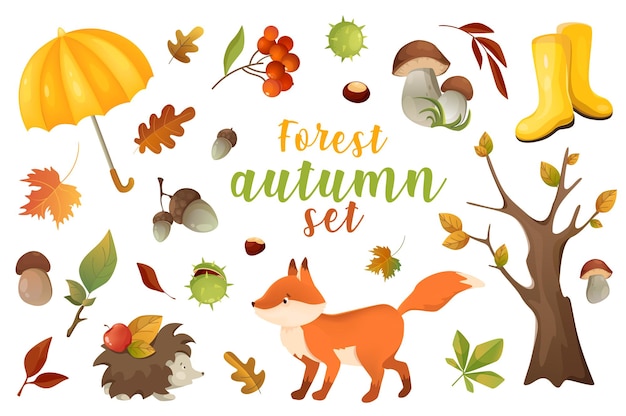 Herfst bos d realistische set vector illustratie geïsoleerde elementen