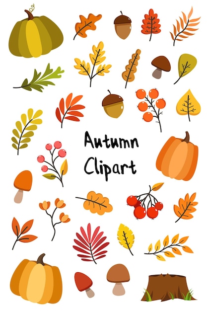 Herfst clip art grote collectie herfst elementen