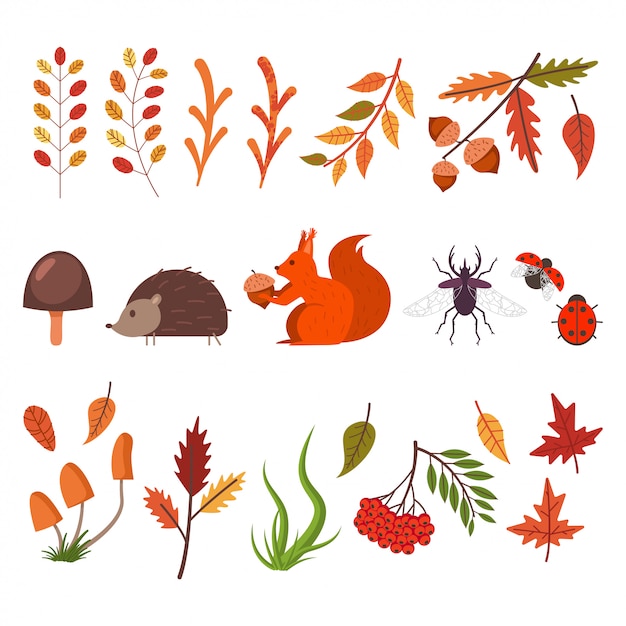 Herfst decoratieve elementen. herfstbladeren, gras, paddestoelen, dieren en insecten.