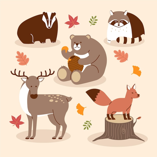 Herfst dieren collectie