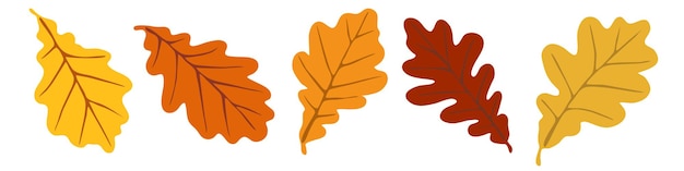 Herfst eikenbladeren op een witte achtergrond, vectorillustratie