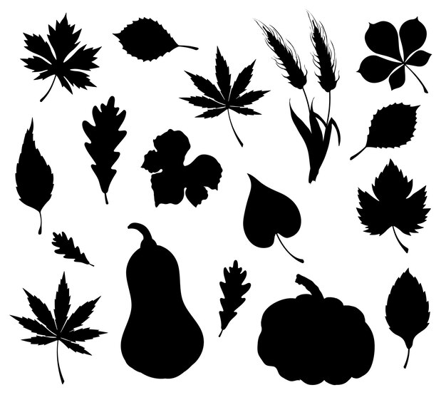 Vector herfst esdoornblad pompoen tarwe oor silhouetten