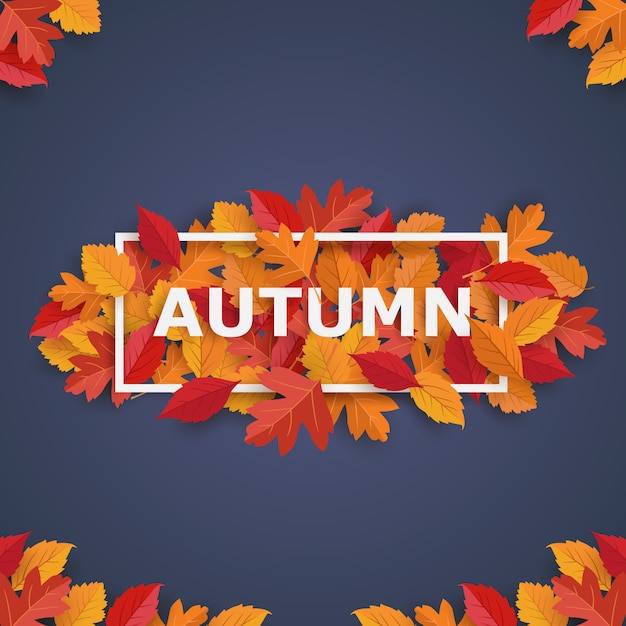 herfst frame met bladeren