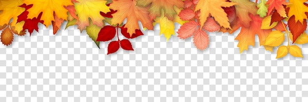 Herfst frame met kleurrijke bladeren op transparante achtergrond. vector illustratie