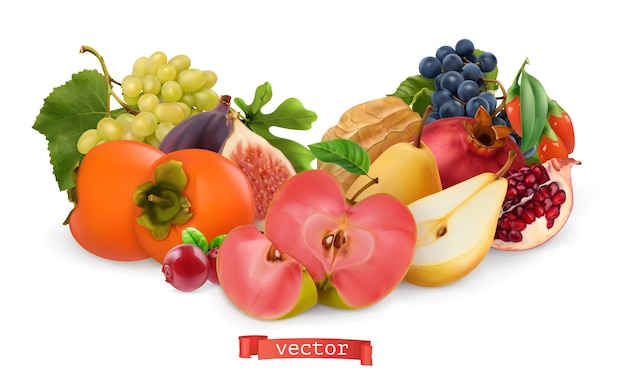 Herfst fruit en bessen illustratie set