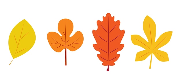 Herfst herfstbladeren vector illustratie