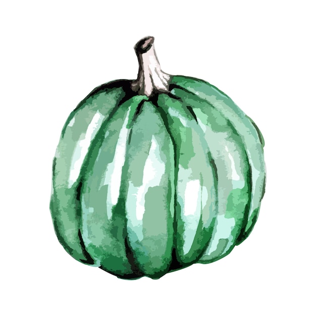 Herfst of Halloween groene pompoen in aquarel stijl herfst en Thanksgiving vector handgemaakte illustratie kunst oogstfeest