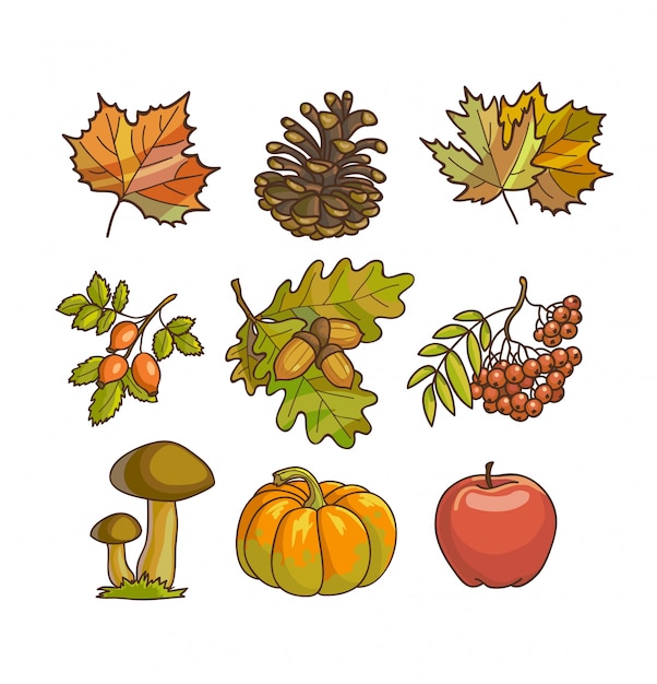 Herfst of herfst pictogram en objecten instellen voor ontwerp.