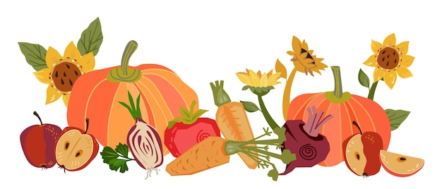 Herfst oogst van groenten en planten hand getrokken vector illustratie geïsoleerd op witte achtergrond Banner met herfst groenten en pompoenen