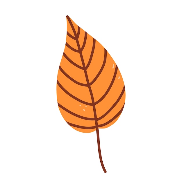 Herfst oranje blad geïsoleerd op een witte achtergrond hand getekende vlakke afbeelding Botanische clipart