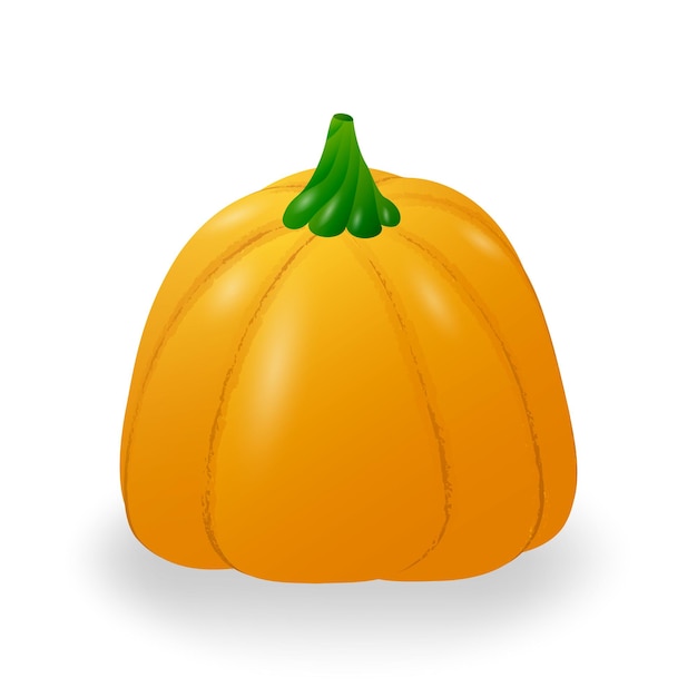 Herfst rijpe pompoen. geïsoleerd op een witte achtergrond. vector illustratie.