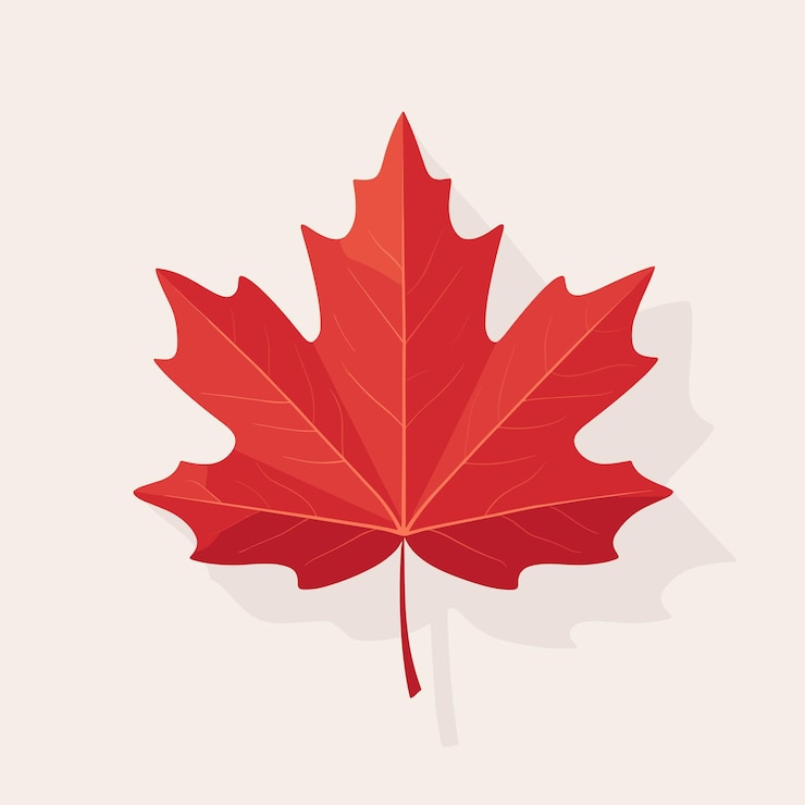 Vector herfst rood maple leaf geïsoleerde vector illustratie