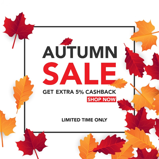 Herfst Sale Banner Achtergrond