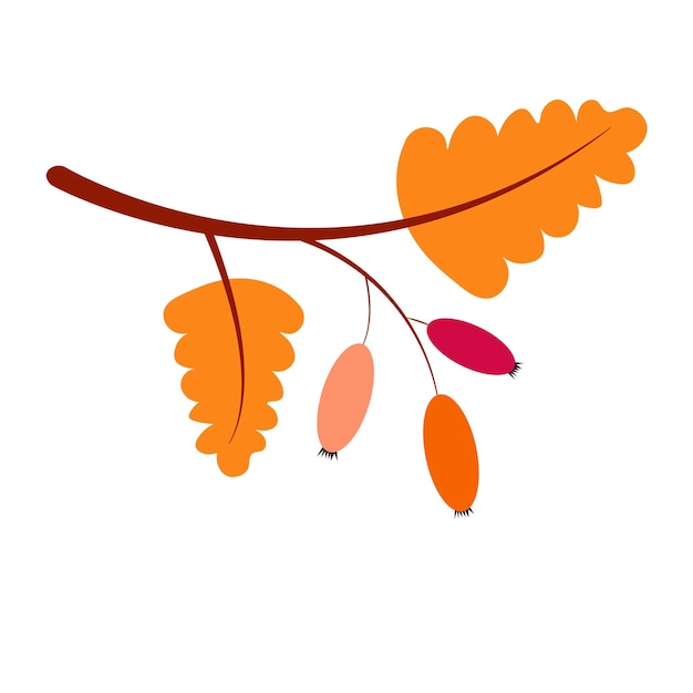 Herfst tak met bessen en bladeren geïsoleerd op een witte achtergrond cartoon vectorillustratie