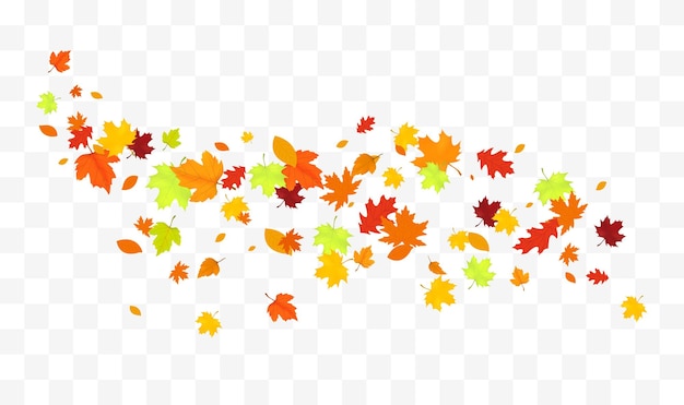 Herfst vallende bladeren geïsoleerd op een witte achtergrond herfst achtergrond met gouden esdoorn en eiken bladeren