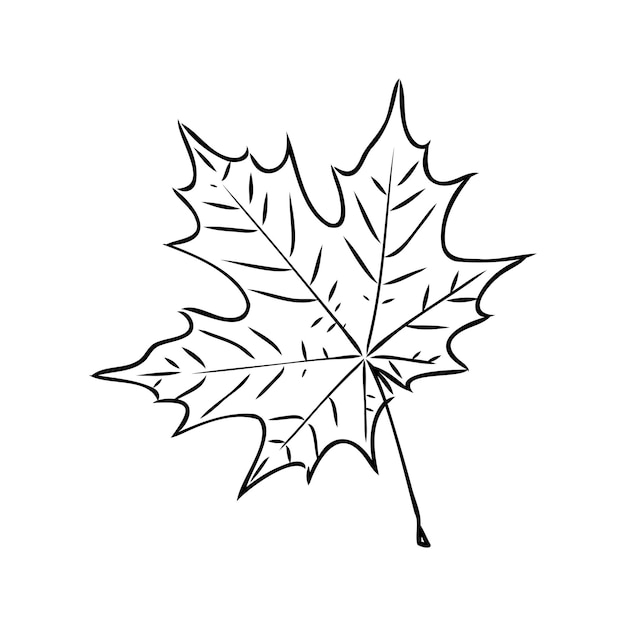 Herfstblad clipart zwart-wit blad tekening vector clipart