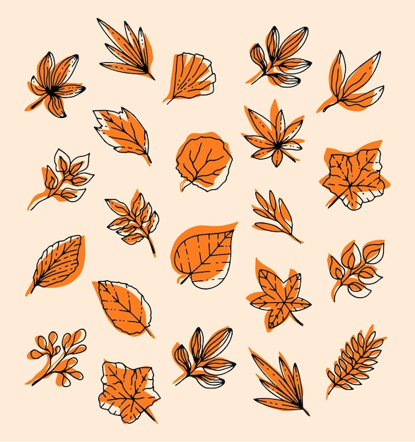 Herfstblad doodle kunst hand getekende vector