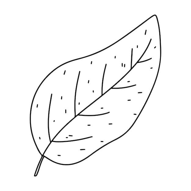 Vector herfstblad hand getrokken doodle stijl vectorillustratie geïsoleerd op witte kleurplaat