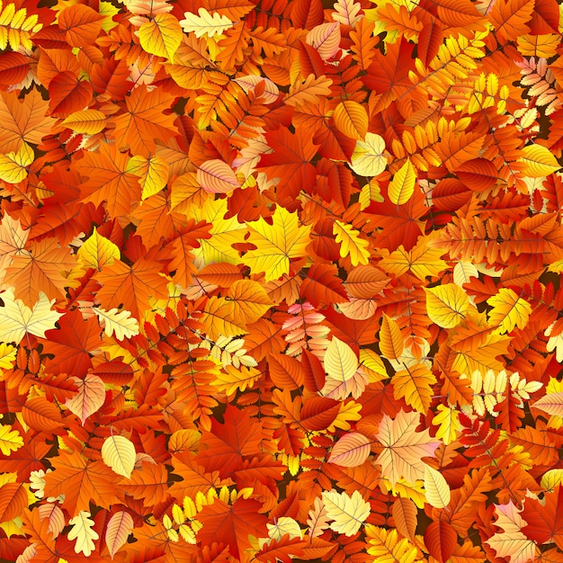 Vector herfstbladeren achtergrond