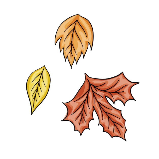 Herfstbladeren instellen geïsoleerd op witte achtergrond cartoon vlakke stijl Geïsoleerde vectorillustratie Ontwerp voor stickers logo web en mobiele app