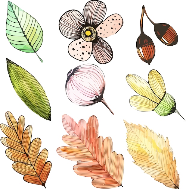 Herfstbladeren ontwerp elementen stickers